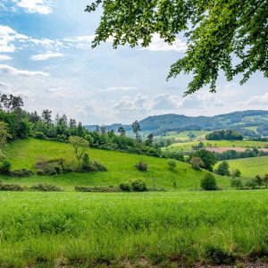 odenwald-germany-is-pure-nature-min odenwald-germany-is-pure-nature-min